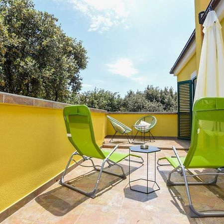 Apartmani Plazibat マンドレ エクステリア 写真